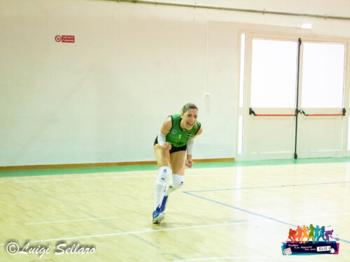 Volley Femminile, Villese Volley: L’Intramontabile Caterina Genovese rinnova con la Villese Volley.